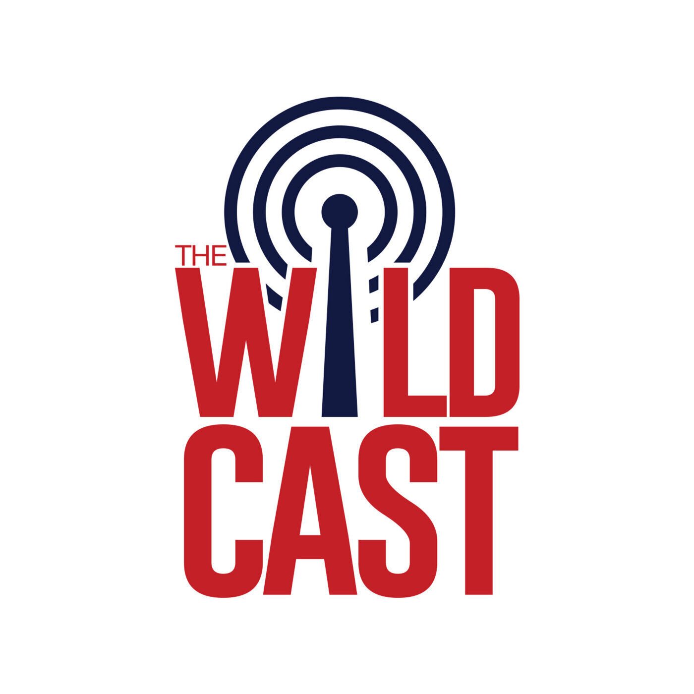 The Wildcast, Episode 520: Awards for the Arizona Wildcats' best athletes, coach, team and moment in 2024-25